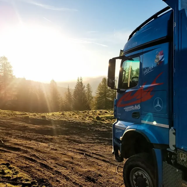 optim-Foto Startseite