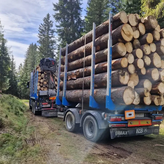 optim-Unsere Leistung Kurzholz
