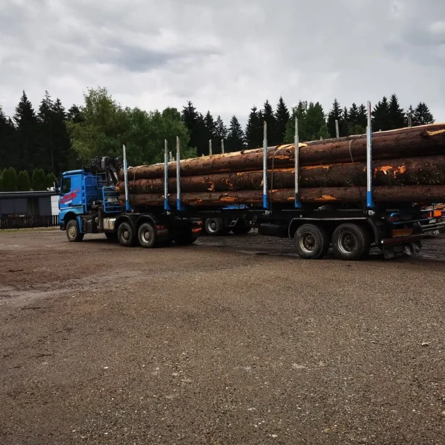 optim-Unsere Leistung Langholz